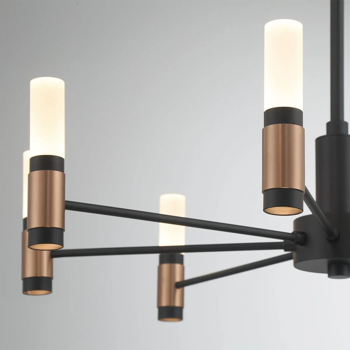 Albany 8-Light Chandelier