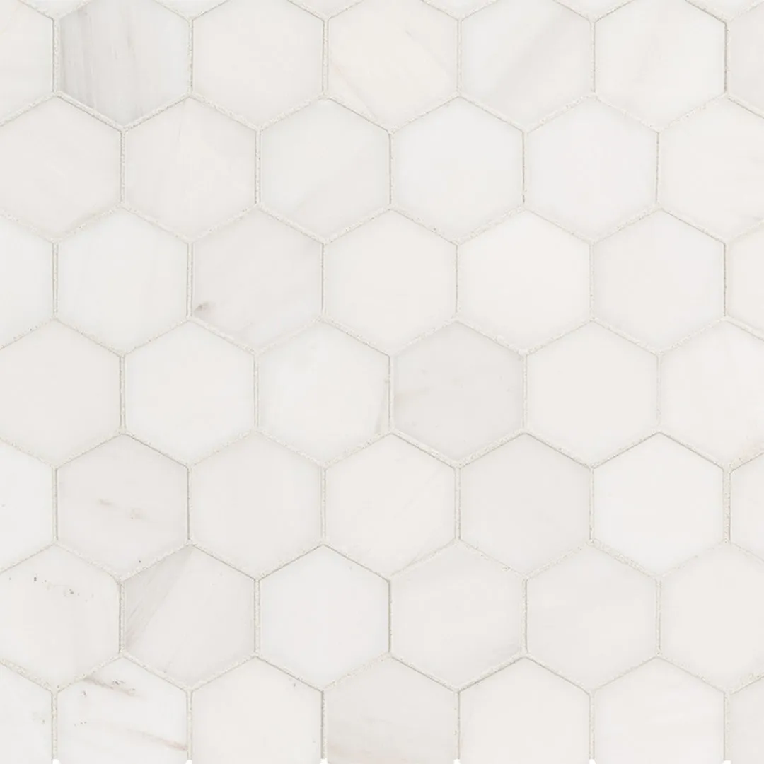 Bianco Dolomite 2" Hexagon Mosaic - Stone Tile